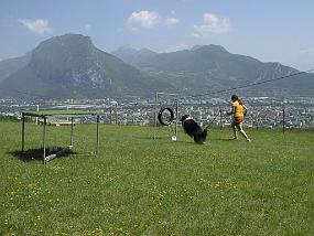 pic00010