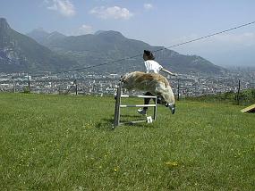 pic00014