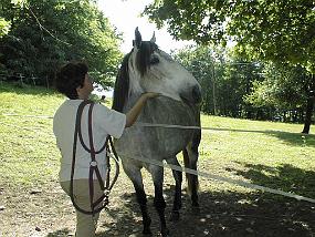 pic00045