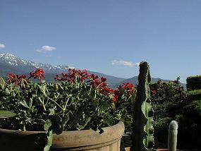 pic00003