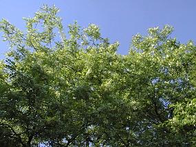 pic00022
