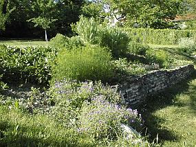 pic00033