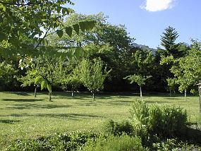 pic00035
