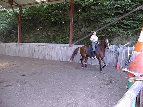 pic00006