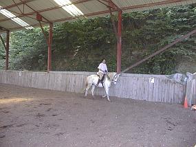 pic00015