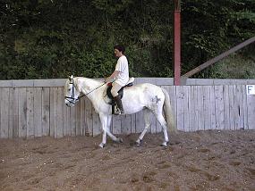 pic00021