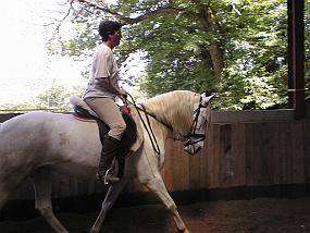 pic00024