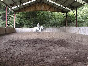 pic00008