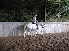 pic00010