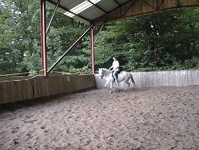 pic00021