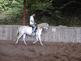 pic00034