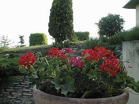 pic00039