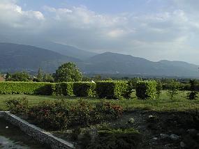 pic00041