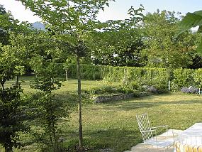 pic00043