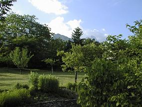 pic00044