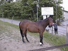 pic00002