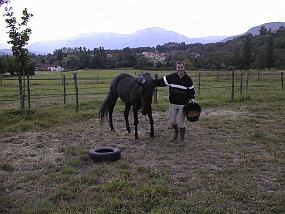 pic00006