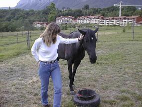 pic00007