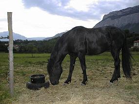 pic00009