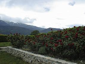 pic00028