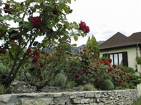 pic00032