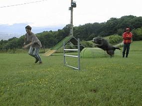 PIC00003
