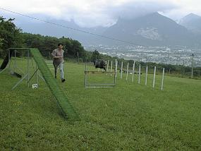 PIC00006