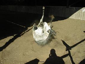 PIC00019