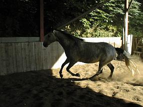 PIC00023