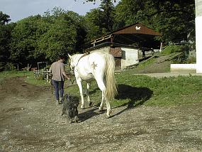 PIC00027