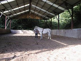 PIC00030