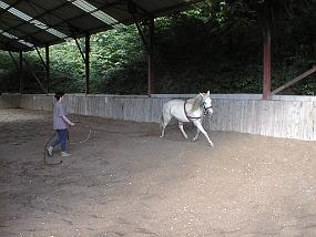 PIC00031