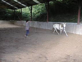 PIC00033
