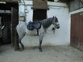 pic00013