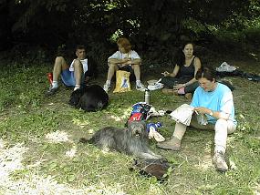 pic00032