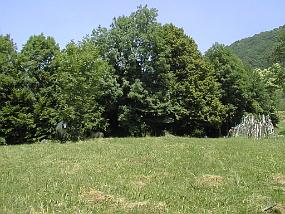 pic00035