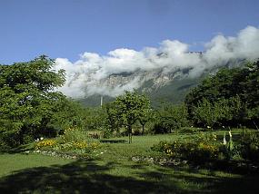 pic00007