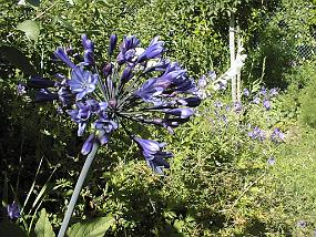 pic00011