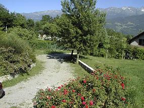 pic00018