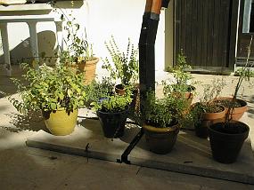 pic00035