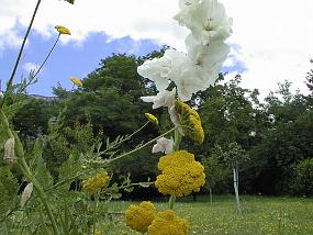 PIC00020