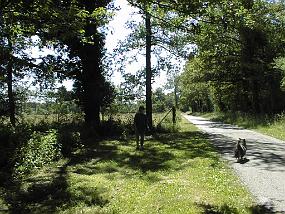 PIC00001