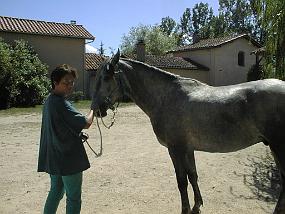PIC00005