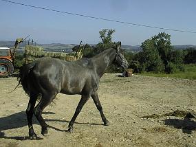 PIC00001