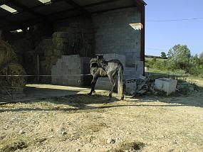 PIC00013