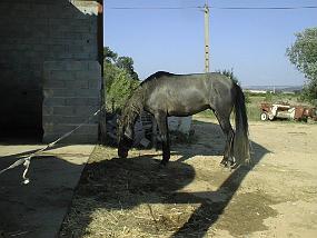 PIC00014