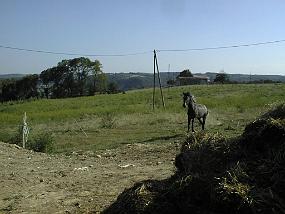 PIC00016