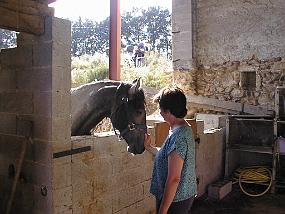 PIC00029