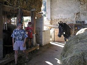 PIC00030
