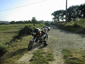 PIC00031